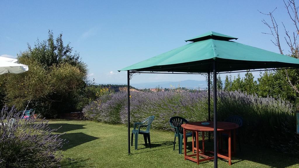 Alloggio per agriturismo Frateria Di San Benedetto *